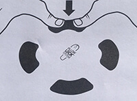 04_pillow_system_200.jpg 04_pillow_system_200.jpg
